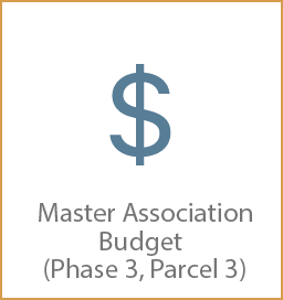 Master Association Budget (Phase 3, Parcel 3)