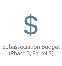 Subassociation Budget (Phase 3, Parcel 3)