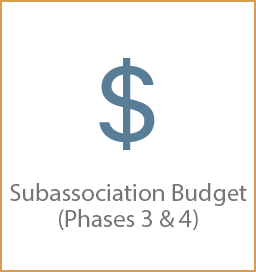 Subassociation Budget (Phases 3 & 4)